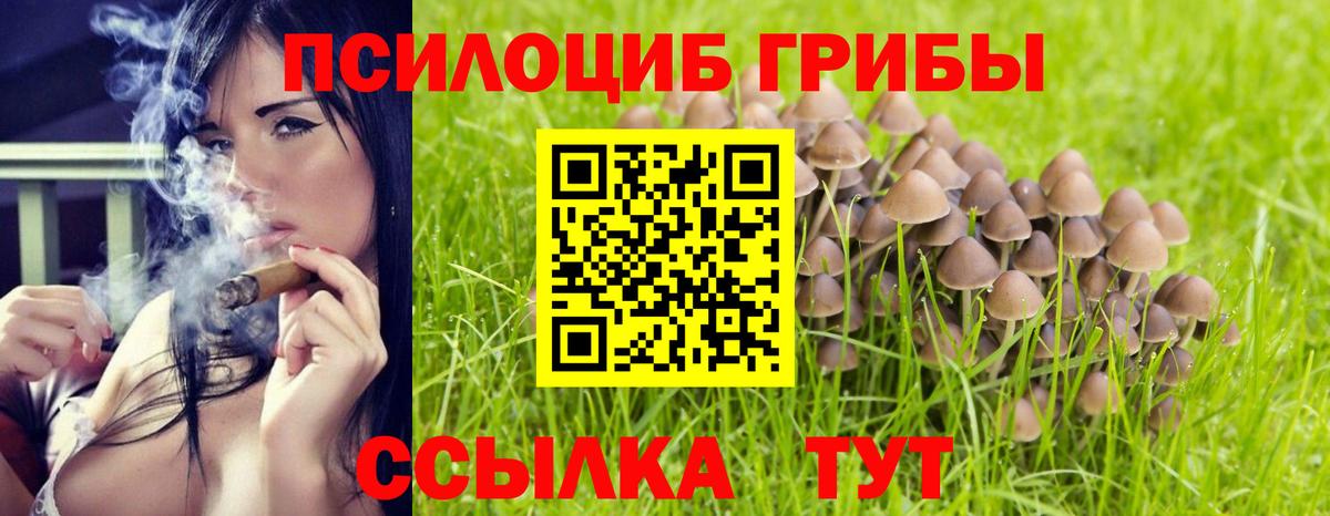 Псилоцибиновые грибы Psilocybe  Вход с VPN  Ялта 