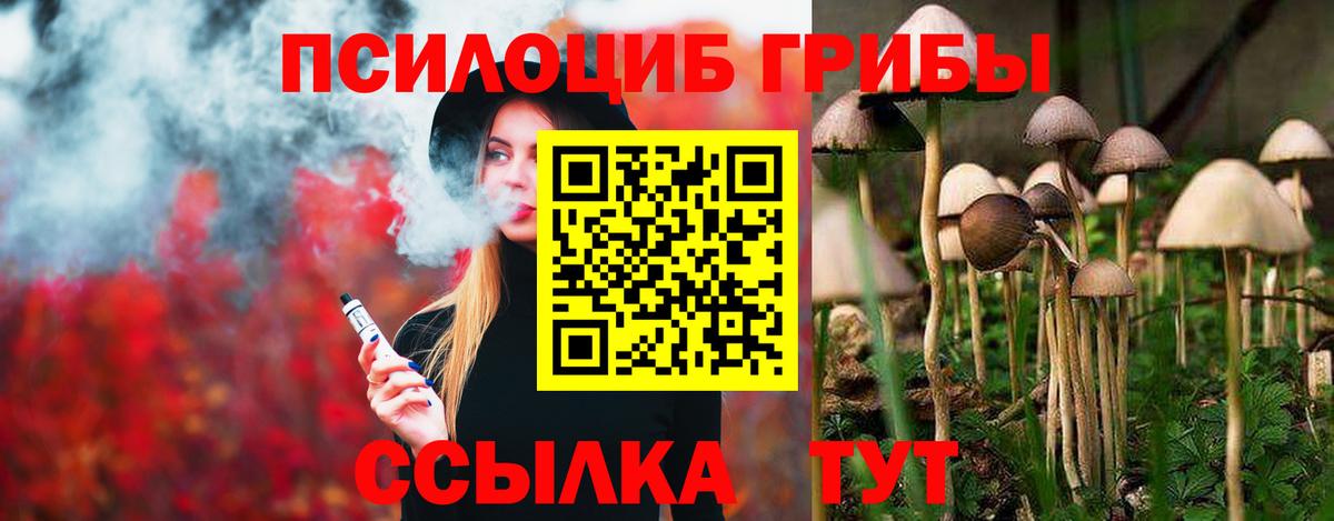 Галлюциногенные грибы мицелий Ялта